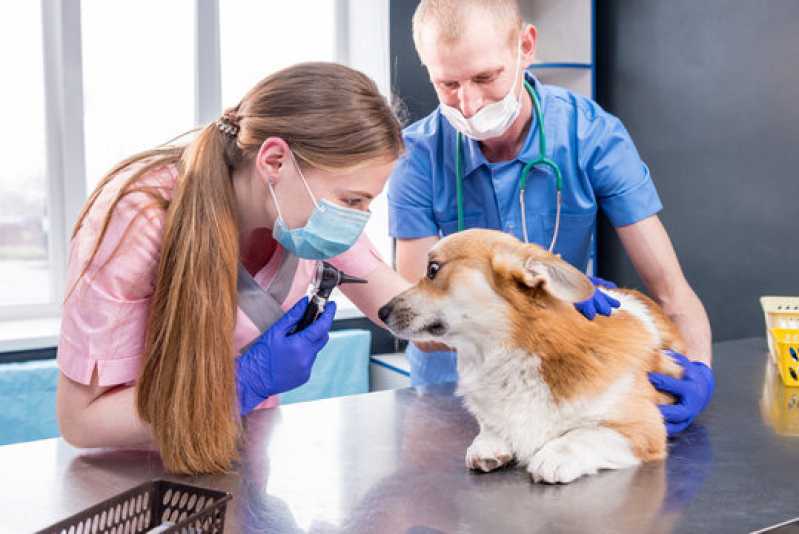 Endereço de Clínica Veterinária Oftalmológica Animal Mogi Guaçu - Clínica Veterinária Oftalmológica para Pet