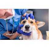 consulta veterinária oftalmológica para cães marcar Vila Georgina