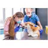 endereço de clínica veterinária oftalmológica animal Alphaville Dom Pedro 1
